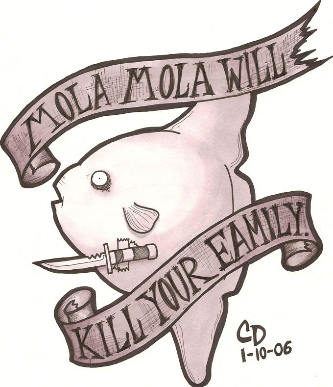 Mola Mola