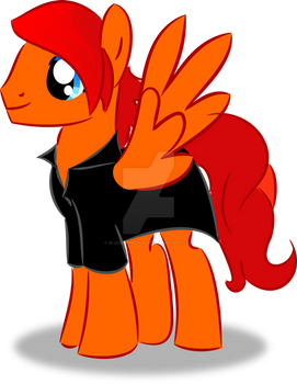 Golden Fox in a nice looking vest