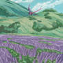 Violet Fields