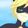 Chat Noir