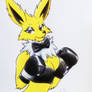 Boxing jolteon 