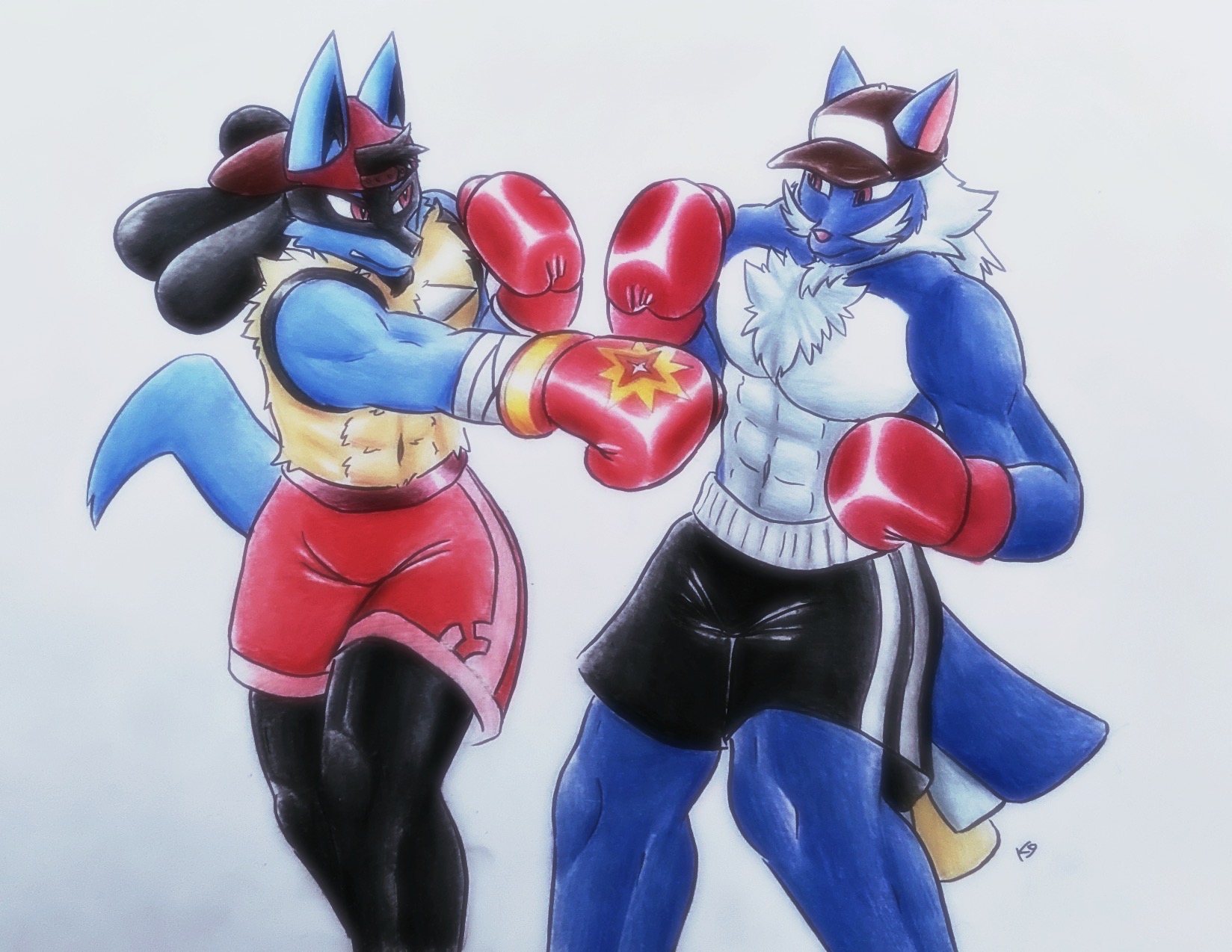 Pokemon underground boxing league by VulpineCrew on DeviantArt