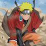 Sage Naruto