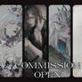 COMMISSION OPEN