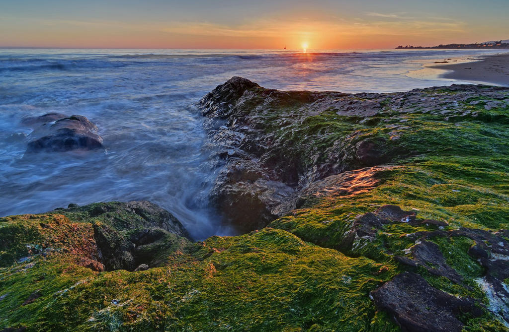 Campus Point Sunset