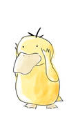 psyduck