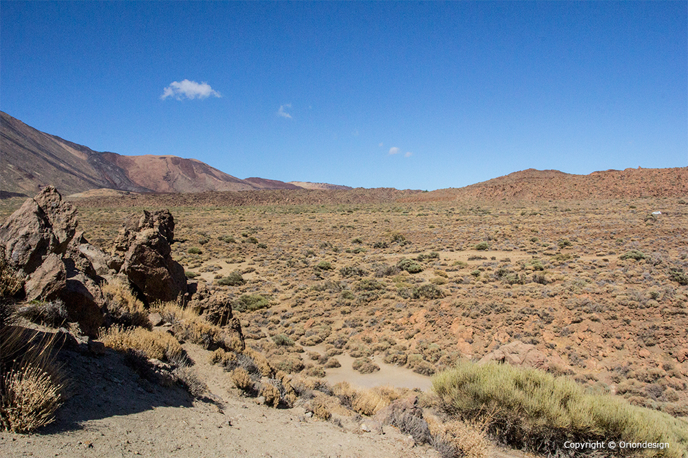 On of my best shot in Tenerife