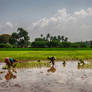 Agriculture in India