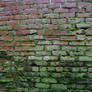 Moss and Bricks