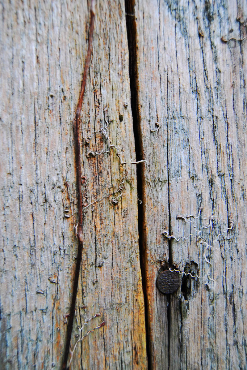 Aged Wood