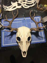 [WIP] Deer skull mask