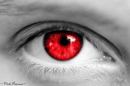 Edward Cullen's Other Eye