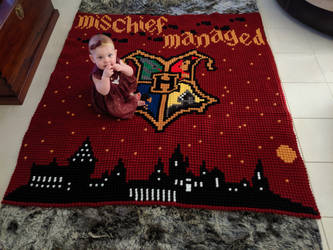 Harry Potter Blanket