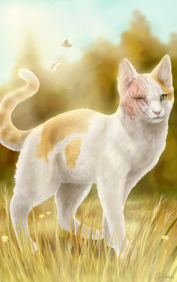 Brightheart by Rosiazora on DeviantArt