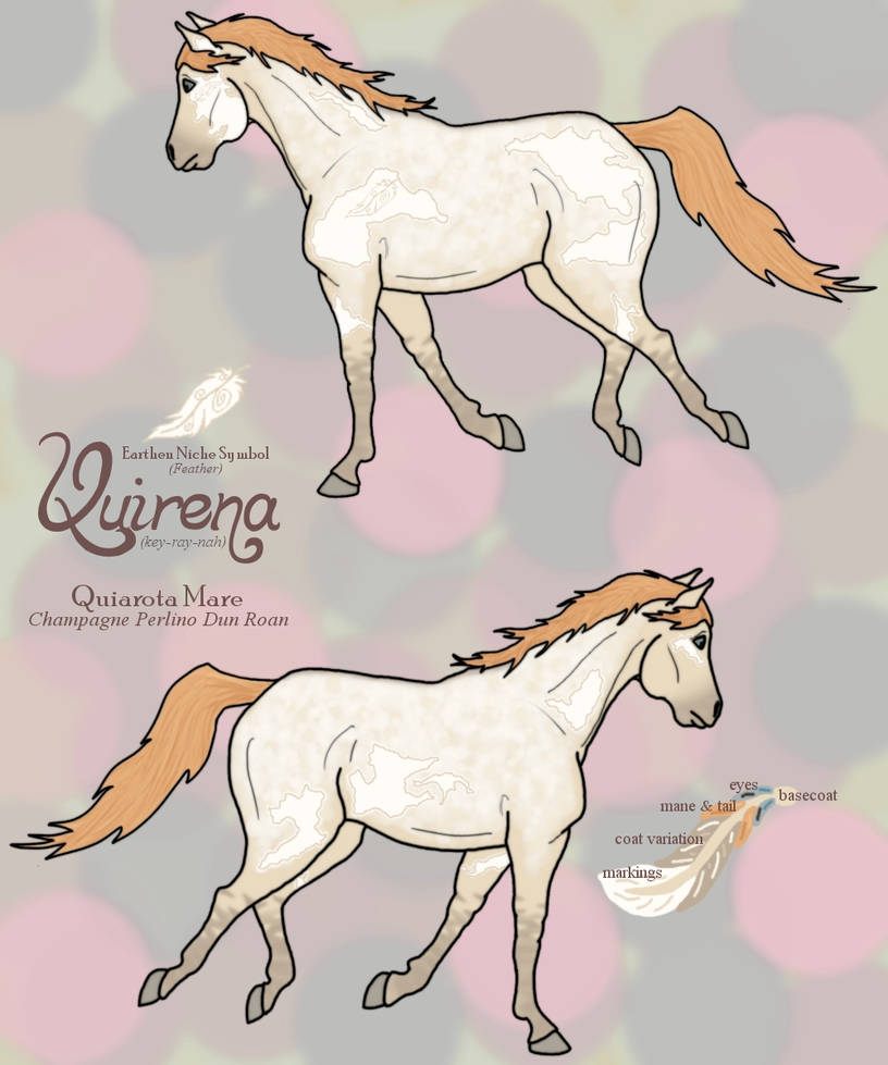 Quirena Reference Sheet by splitApear on DeviantArt