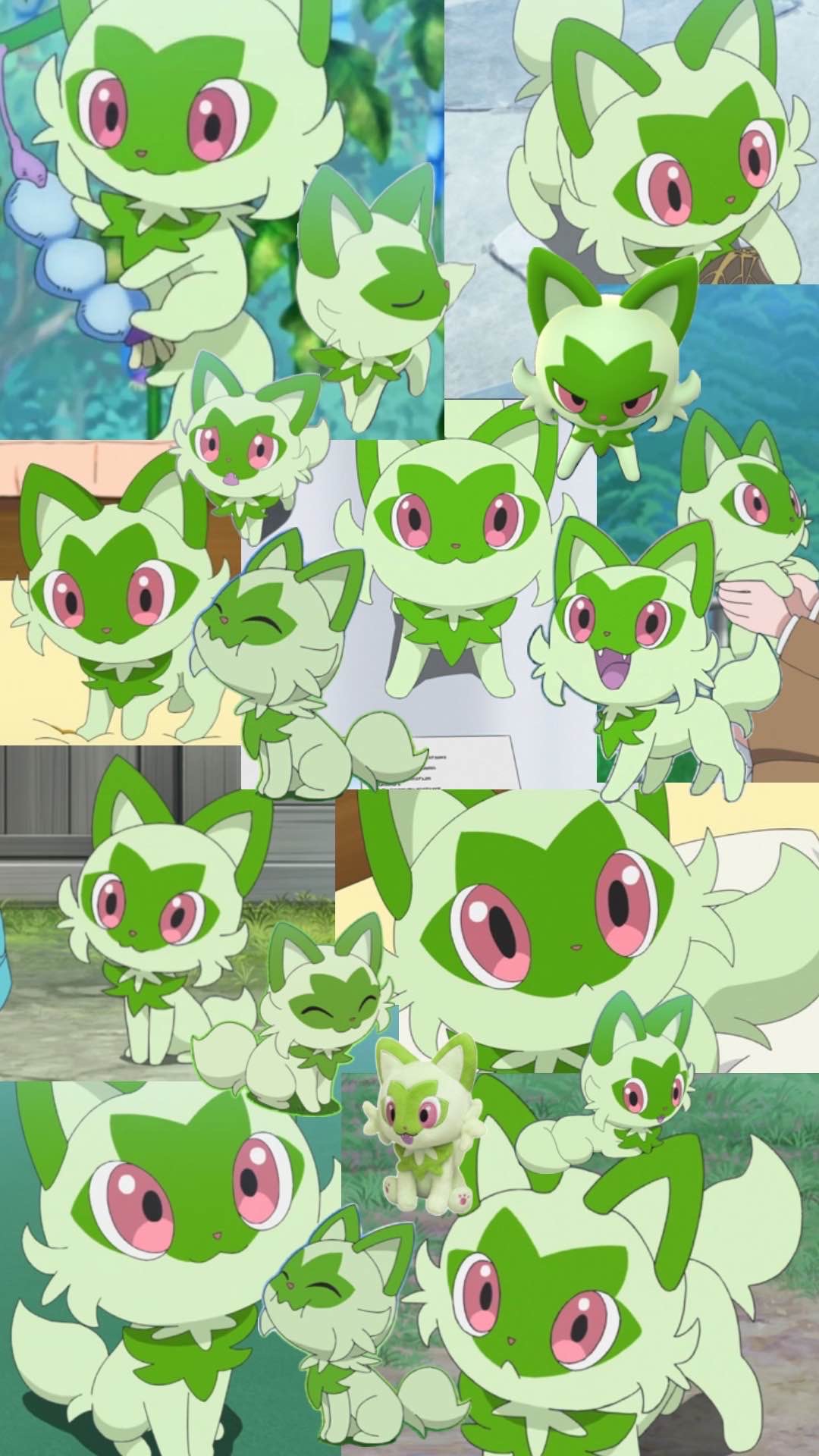 Sprigatito Collage by The-Tang-Man on DeviantArt