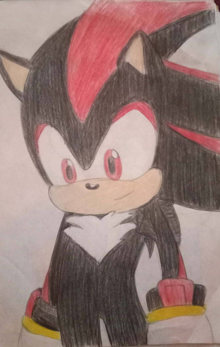 Toonsite Shadow Shadow the Hedgehog by chitoelgamer on DeviantArt