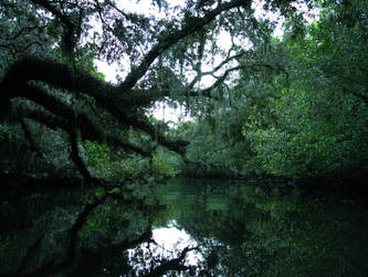 Deep Florida waters