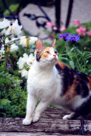 Mia outside by Velara Mia outside by Velara