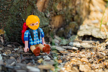 playmobil traveler