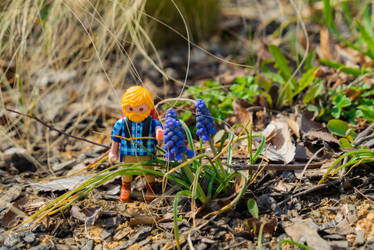 playmobil traveler