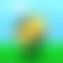 Kit Balloon