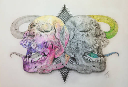 Skull Drawing