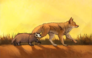 Badger and Coyote