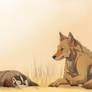 Badger and Coyote