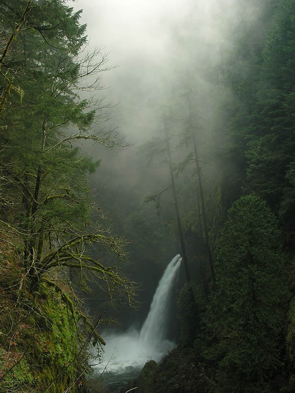 Metlako Falls_Eagle Creek 4835