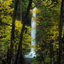 North Falls_autumn 4237