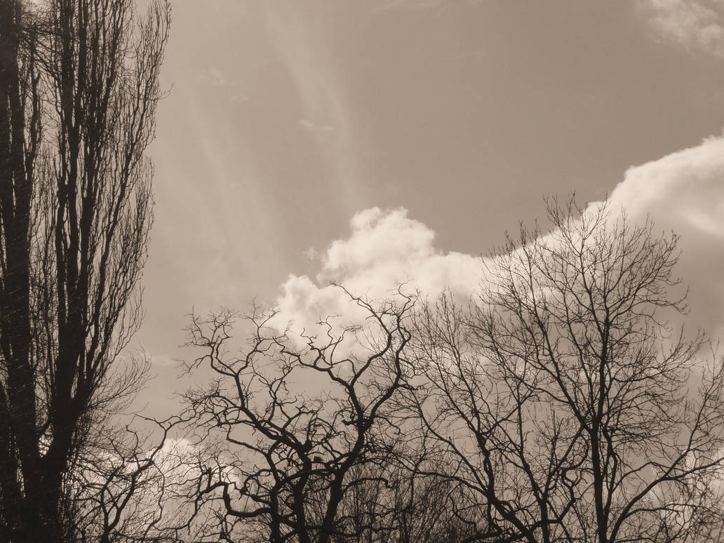 Sepia Sky 4 by thejourney on DeviantArt
