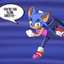 Sonic the Bat~