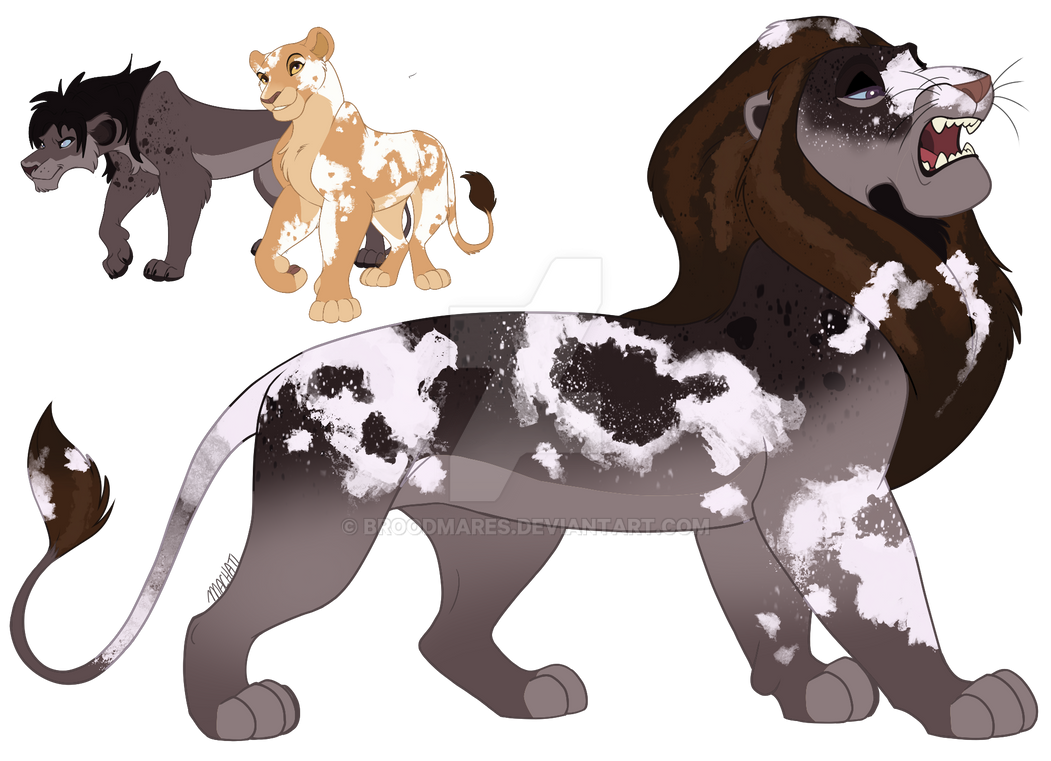 Barbary x Barbary D4 Result by broodmares on DeviantArt Barbary x Barbary D4 Result by broodmares on DeviantArt