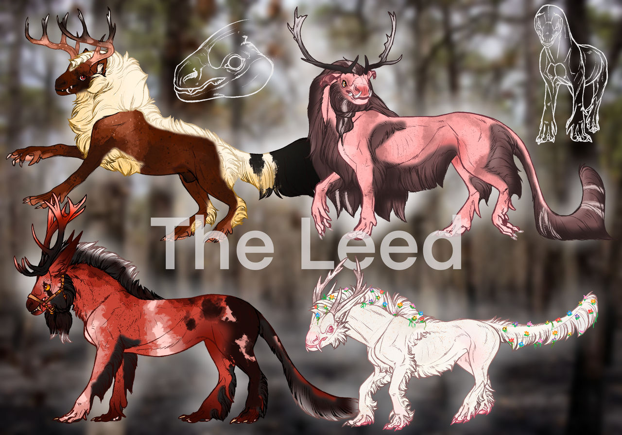 Lightning Reed Evolution Introduction to The Leed by broodmares on DeviantArt