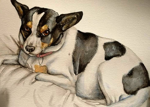 Little dog, watercolour