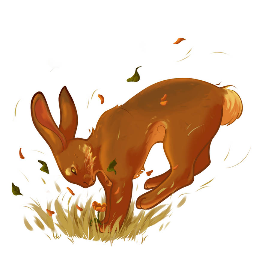 Deviantart Open Season Rabbit Summer Rabbit by ShippoSketches on DeviantArt