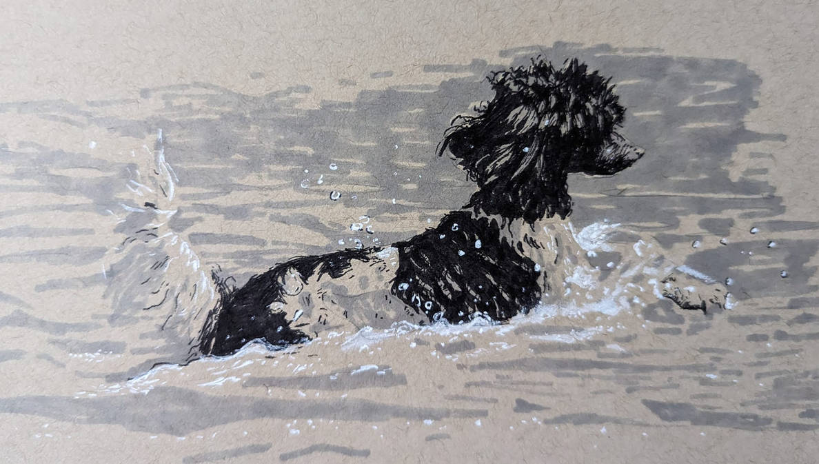 Darwin swimming in ink by ShippoSketches on DeviantArt