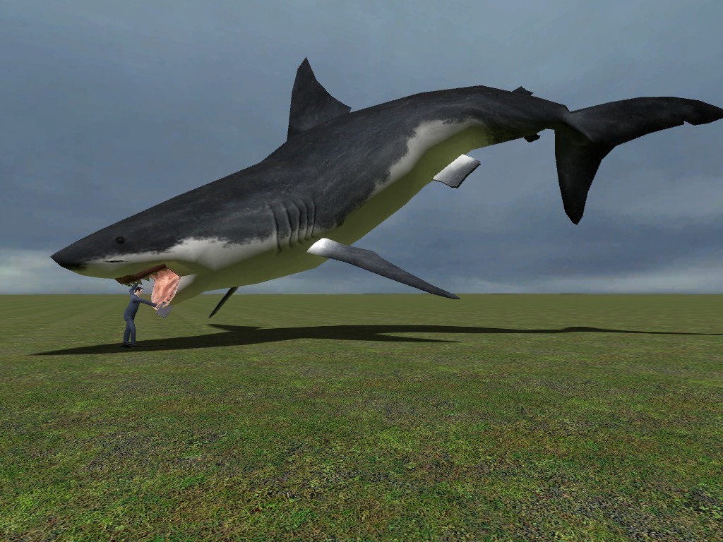 Gman Fighting a Shark