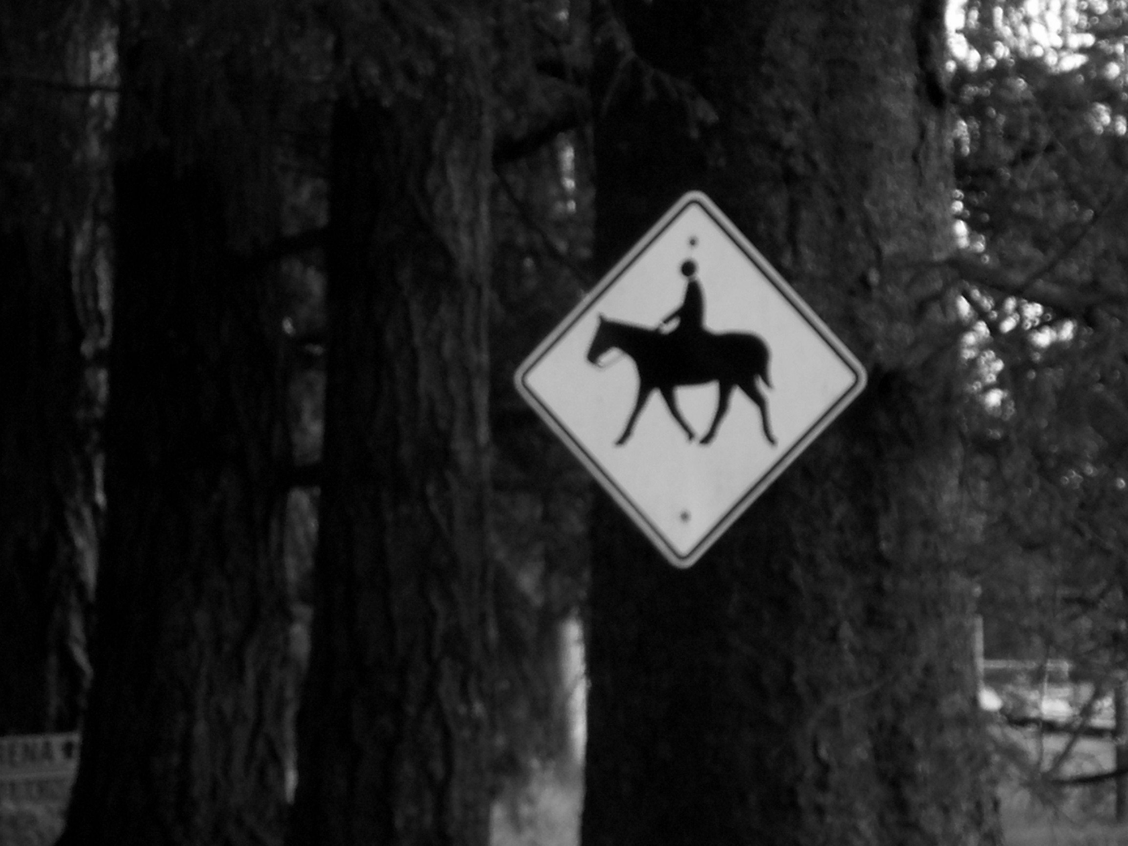 Horse Crossing