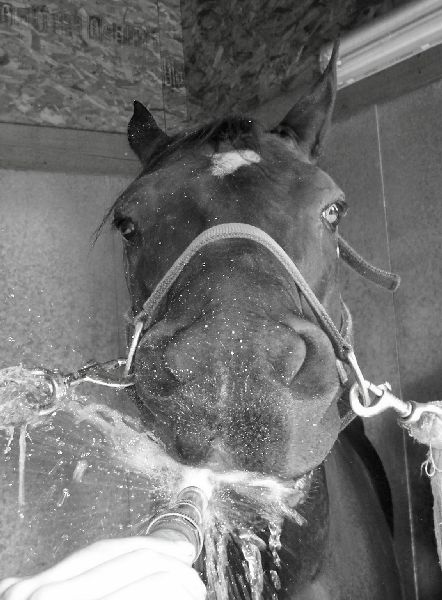 Levi's Drinking fountain