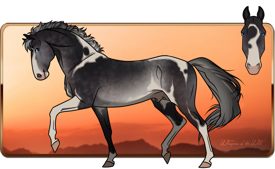 Graham 20 by Desert-Whisperer on DeviantArt