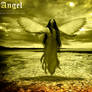 The Last Angel