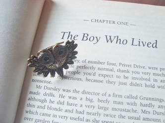 The Boy Who Lived 3 by alicecorley