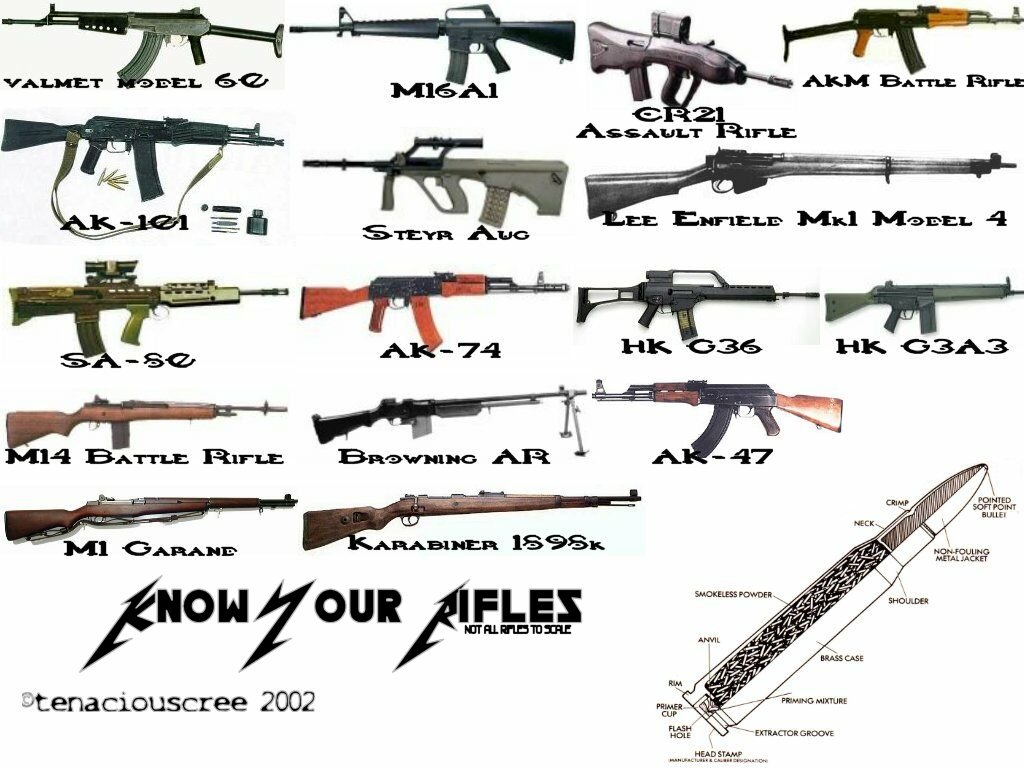 Know Your Rifles