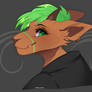 [C: Headshot] for Riley Co.