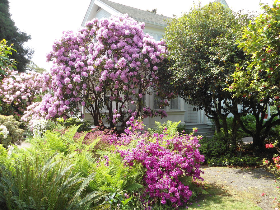 Hulda Klager Lilac Gardens 4 By Dondiego512 On Deviantart
