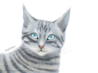 Jayfeather