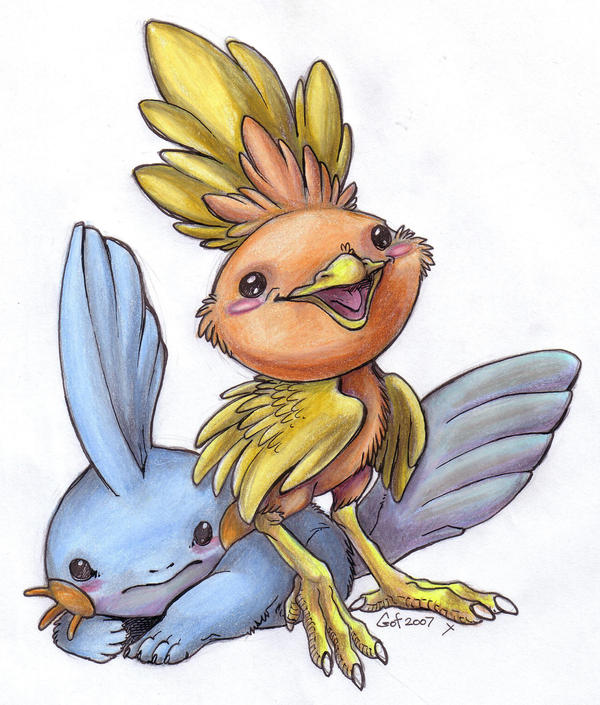 Torchic and Mudkip