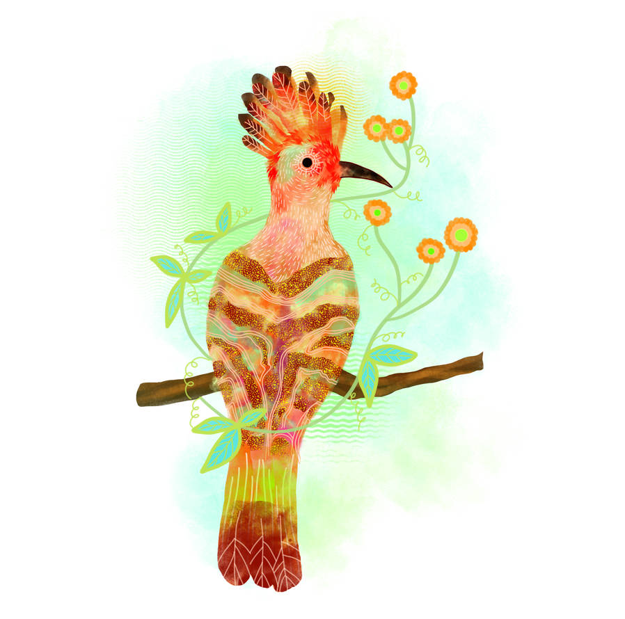 Abstract Hoopoe Hoopoe by Shanna-Melissa on DeviantArt